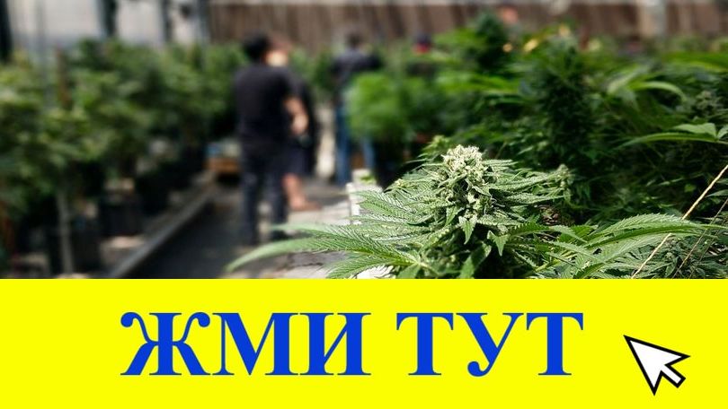 Купить наркотики в Новочебоксарске